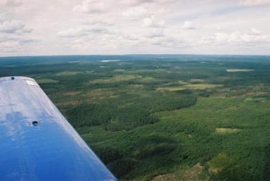 Unterwegs über schwedischen - Wälder,