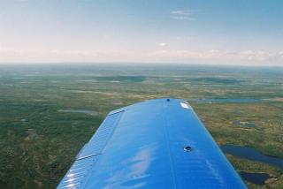 Schwedische - Outback